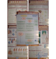 Комплект плакатов (22 шт.) Профессиональные заболевания водолазов